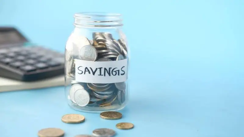 Dare to Save: Embarking on a Year-long Money Saving Challenge