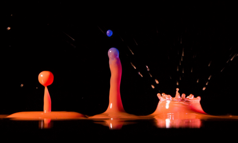 How Tech Shapes Memory and Forgetting